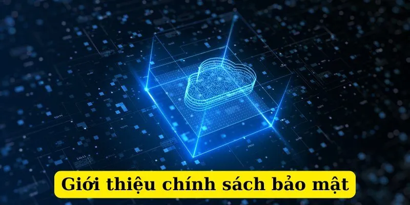 Đôi nét về chính sách bảo mật Na99