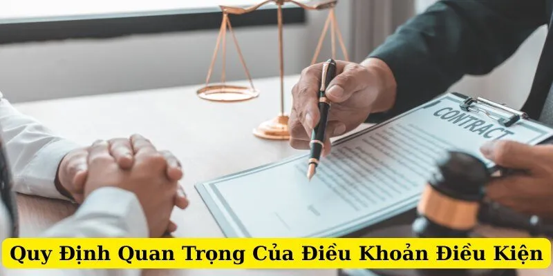 Các quy định quan trọng về điều khoản điều kiện na99