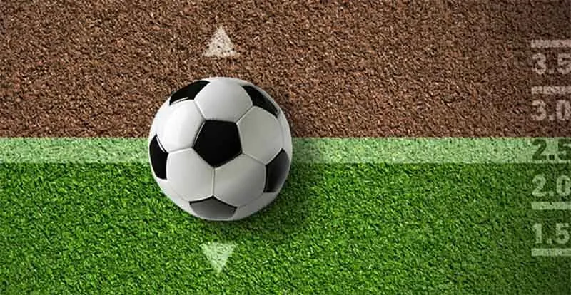 Hướng dẫn cách đặt cược na99 cho người mới bắt đầu